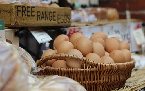 1650000602197698.png image.png