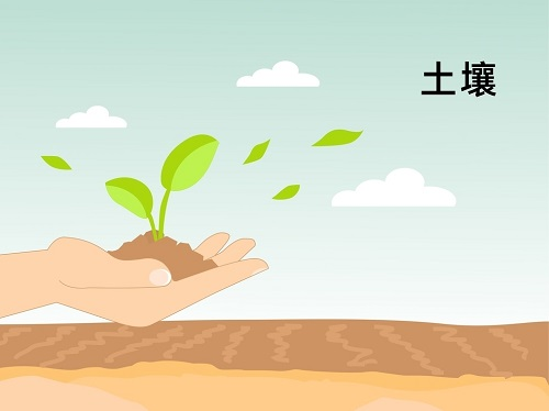 1668740492421151.png image.png