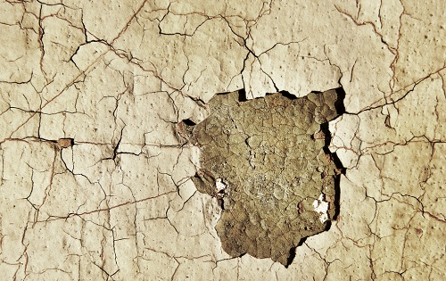 應(yīng)對(duì)旱災(zāi)威脅，這樣監(jiān)測(cè)土壤（認(rèn)準(zhǔn)土壤墑情速測(cè)儀的4大突出性能）