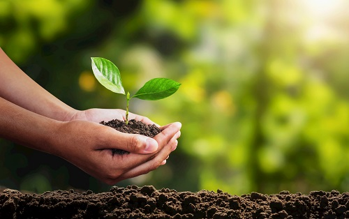 1675913227122235.png image.png