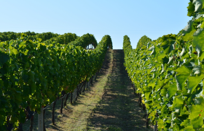 土壤團(tuán)粒結(jié)構(gòu)是個(gè)什么概念？土壤團(tuán)粒結(jié)構(gòu)分析儀測(cè)什么？