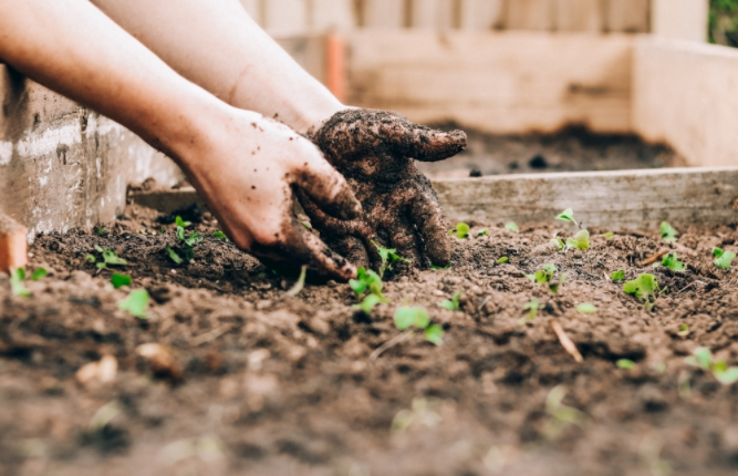 土壤墑情監(jiān)測系統(tǒng)與普通儀器對(duì)比有何優(yōu)勢(shì)？(土壤墑情監(jiān)測系統(tǒng)的作用)