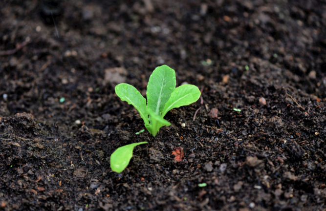 一臺(tái)多參數(shù)土壤測量儀搞定多個(gè)項(xiàng)目（多參數(shù)測量儀器樣品檢測步驟）