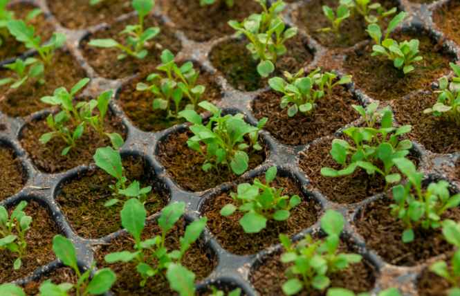 便攜式土壤水分速測儀使用注意要點(diǎn)）便攜式土壤水分速測儀實(shí)現(xiàn)田間流動(dòng)檢測