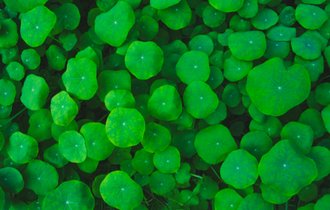 土壤緊實(shí)度儀使用后的維護(hù)工作非常重要，做到這五點(diǎn)就行