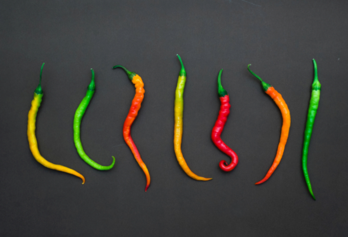 如何評(píng)價(jià)一種辣椒有多辣?？辣椒素檢測儀的工作原理及介紹