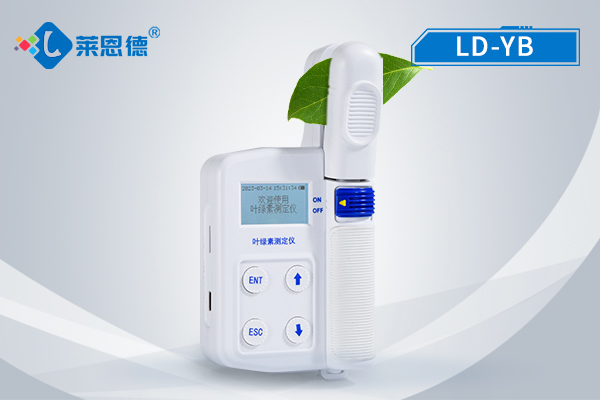 葉綠素檢測(cè)儀的實(shí)用意義：及時(shí)掌握綠素、葉面溫度等數(shù)據(jù)