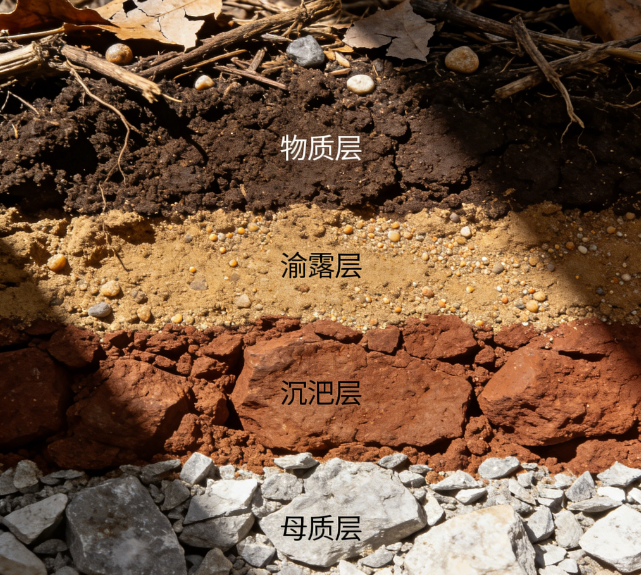 土壤重金屬測(cè)定儀